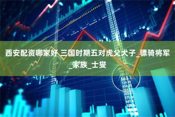 西安配资哪家好 三国时期五对虎父犬子_骠骑将军_家族_士燮