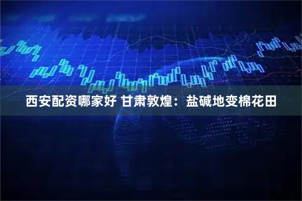 西安配资哪家好 甘肃敦煌：盐碱地变棉花田
